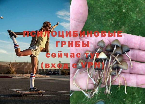 МДМА Арсеньев