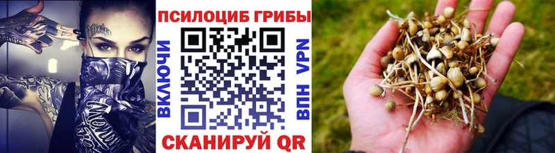 Галлюциногенные грибы Magic Shrooms  купить  цена  Пудож 